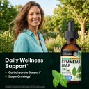 bio-krauter-gymnema-sylvestre-for-sugar--2.jpg