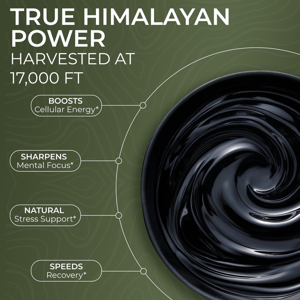 jeet-himalayan-shilajit-resin-40g-80-ser-3.jpg