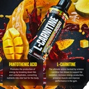 nutrex-research-liquid-carnitine-3000-pr-6.jpg
