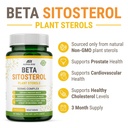 beta-sitosterol-500mg-tablets-non-gmo-su-3.jpg