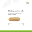 terry-naturally-advanced-dgl-75-mg-licor-4.jpg