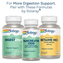 solaray-mastic-gum-extract-500-mg-45-cou-6.jpg