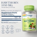 solaray-mullein-leaf-330-mg-and-hawthorn-3.jpg