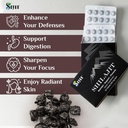 sayan-100-pure-shilajit-tablets-high-pot-5.jpg