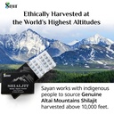 sayan-100-pure-shilajit-tablets-high-pot-3.jpg