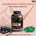 mastermedi-shilajit-500mg-himalayan-extr-5.jpg