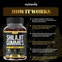 shilajit-gummies-3-in-1-with-sea-moss-bl-4.jpg