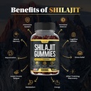 shilajit-gummies-3-in-1-with-sea-moss-bl-3.jpg