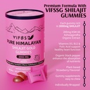 vifssg-shilajit-gummies-3000-mg-shilajit-5.jpg