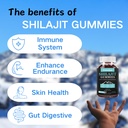 shilajit-for-man-woman-kid-himalayan-gol-4.jpg