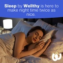 wellthy-night-time-thermogenic-vitamin-b-3.jpg