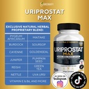 uriprostat-max-extra-support-60-capsules-3.jpg