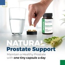 best-life-herbals-prosta-rye-natural-pro-2.jpg