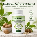 haritaki-capsules-terminalia-chebula-ayu-2.jpg