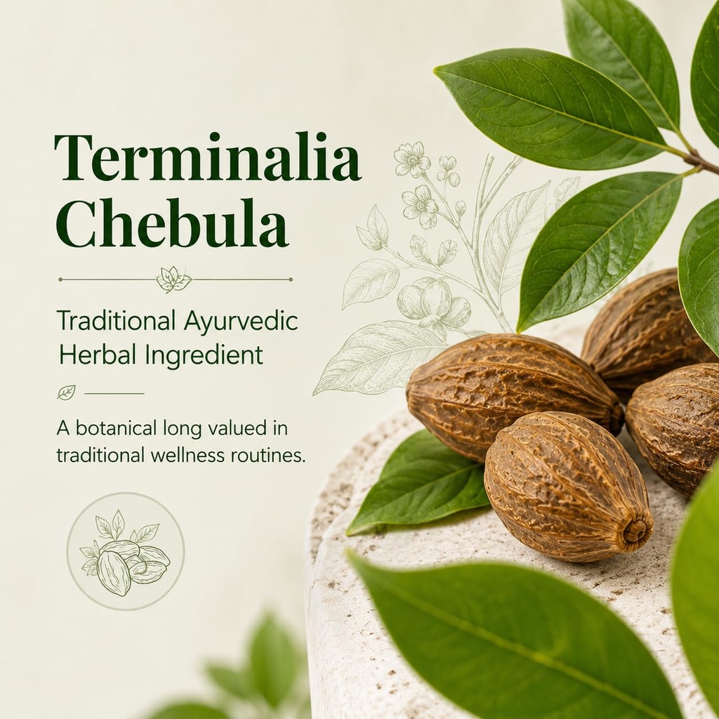haritaki-capsules-terminalia-chebula-ayu-3.jpg