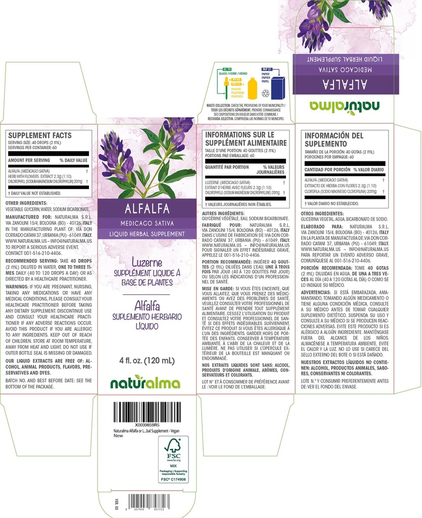 naturalma-alfalfa-or-lucerne-medicago-sa-2.jpg