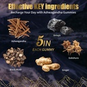 niusise-ashwagandha-gummies-with-shilaji-3.jpg