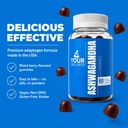 ashwagandha-gummies-with-ksm-66-lion-s-m-4.jpg