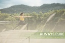 pure-original-ingredients-green-tea-extr-5.jpg