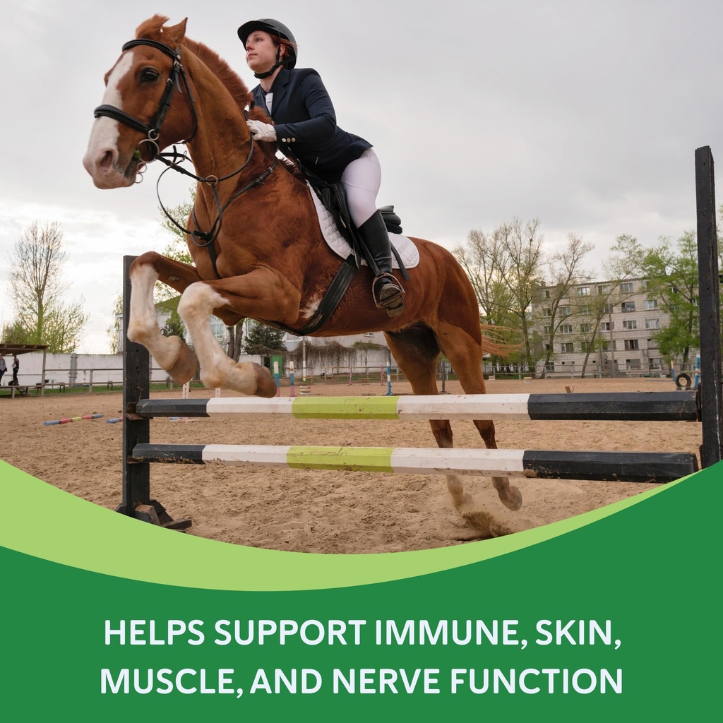 vitamin-e-supplement-for-horses-high-pot-3.jpg