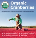 organic-cranberry-pills-vegan-supplement-4.jpg