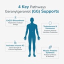 wellness-extract-geranylgeraniol-gg-150m-5.jpg