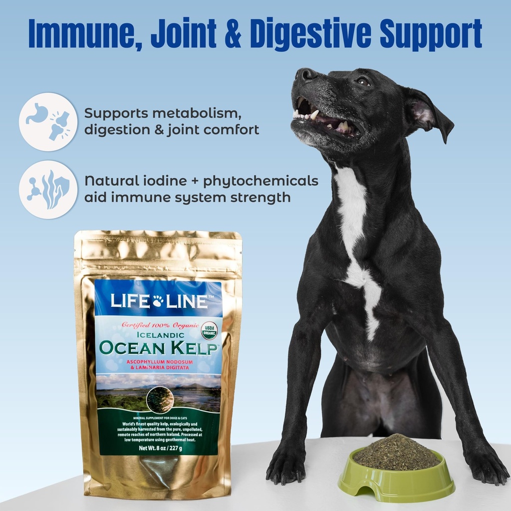 life-line-organic-ocean-kelp-powder-for--5.jpg
