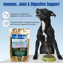 life-line-organic-ocean-kelp-powder-for--5.jpg