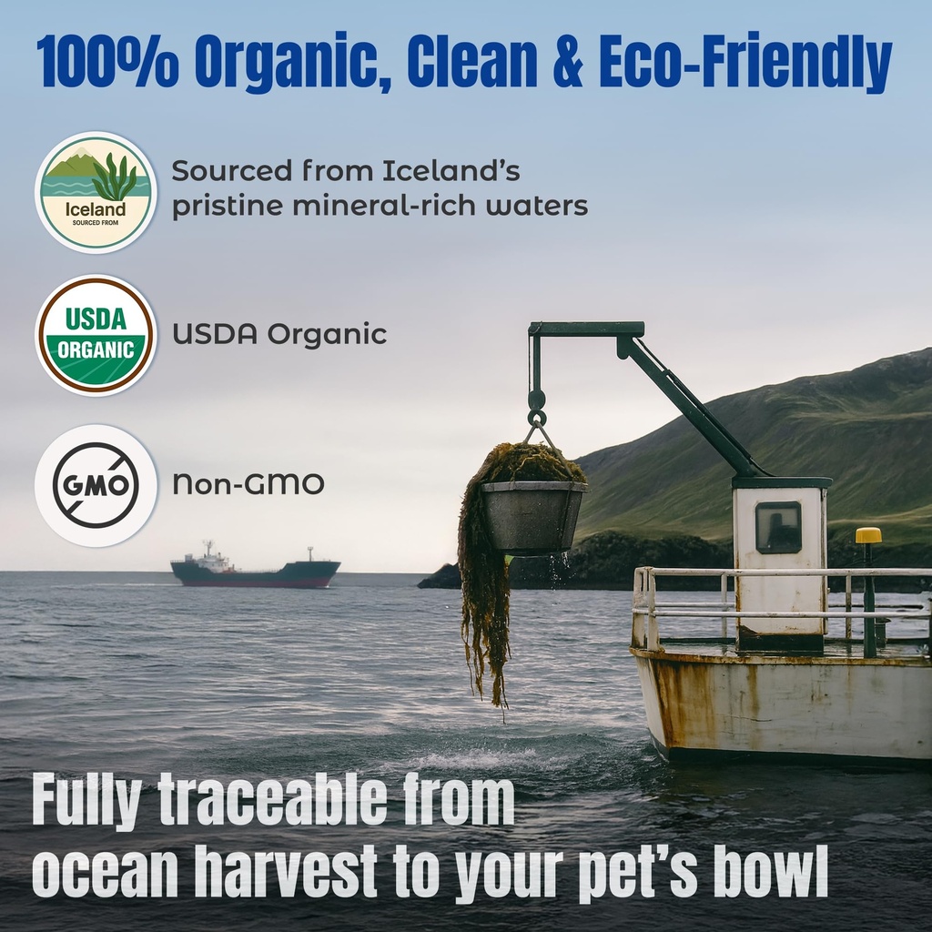 life-line-organic-ocean-kelp-powder-for--6.jpg