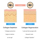 research-labs-promo-120-collagen-pills-6-3.jpg