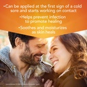 campho-phenique-cold-sore-treatment-0-23-4.jpg