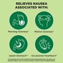 dramamine-nausea-relief-ginger-chews-20--4.jpg