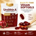 finding-ferdinand-urolithin-a-supplement-6.jpg