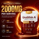 finding-ferdinand-urolithin-a-supplement-4.jpg