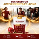 finding-ferdinand-urolithin-a-supplement-5.jpg