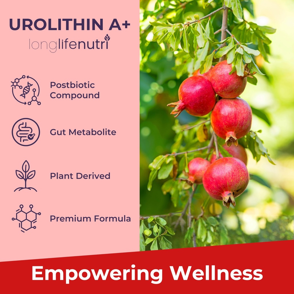 longlifenutri-vitamin-k2-mk-7-100-mcg-ur-5.jpg