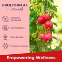 longlifenutri-vitamin-k2-mk-7-100-mcg-ur-5.jpg