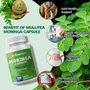 moringa-oleifera-extract-700mg-per-servi-2.jpg