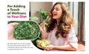 moringa-tea-cut-leaves-8-ounces-0-5-lb-r-6.jpg