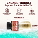 organic-cadane-moringa-powder-capsules-4-2.jpg