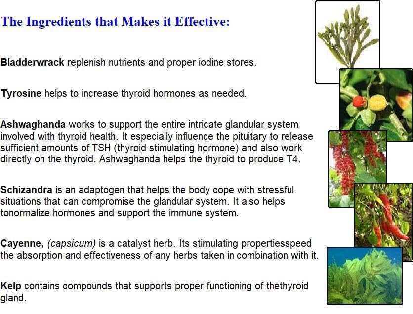 thyroid-total-support-with-l-tyrosine-ke-3.jpg