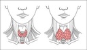thyroid-total-support-with-l-tyrosine-ke-4.jpg