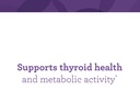 innate-response-formulas-thyroid-respons-4.jpg