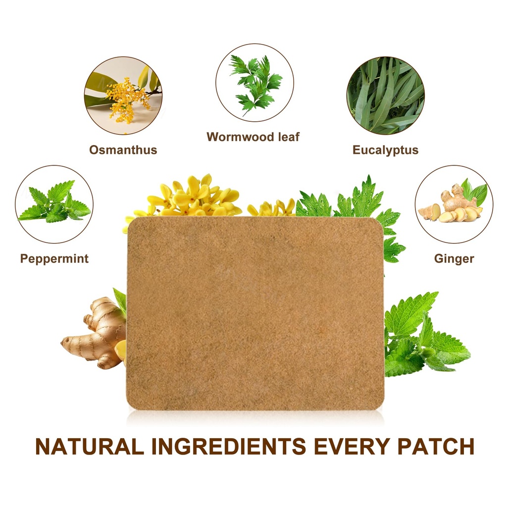 60pcs-ginger-patch-natural-herbal-hot-pa-4.jpg