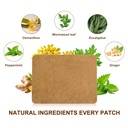 60pcs-ginger-patch-natural-herbal-hot-pa-4.jpg