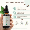 herbera-clove-usda-organic-tincture-alco-2.jpg