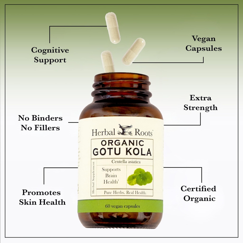 herbal-roots-organic-gotu-kola-supplemen-4.jpg