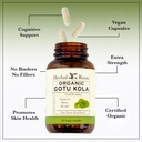 herbal-roots-organic-gotu-kola-supplemen-4.jpg