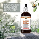 gotu-kola-centella-asiatica-dry-leaf-tin-5.jpg