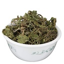 yuvika-brahmi-booti-gotu-kola-bacopa-mon-3.jpg